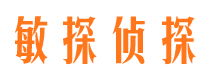 宜丰市调查公司